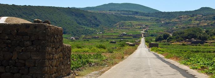 Auf dem Foto sieht man eine typische Landschaft auf der Insel, der Heimat der Königin von Pantelleria (Foto: Vinisola)