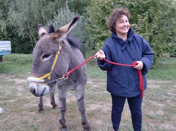 Auch Gloria möchte ein Erinnerungsfoto nach der Weinlese mit Eseln aber es scheint, dass es Bastiglia nun reicht mit dem Fotoshooting (Foto: Katrin Walter - simply walter). Man sieht Gloria Malavasi mit dem Esel, der sich allerdings bereits abwendet.