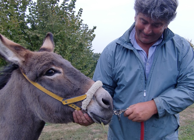 Am Ende gibt es noch Streicheleinheiten, die für beide, Mensch und Tier, wichtig sind. (Foto: Katrin Walter - simply walter) Auf dem foto sieht man Daniele Malavasi einem Esel den Kopf liebkosen.