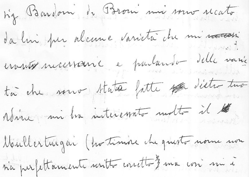 Auszug aus dem Originalbrief von 1950 in der Handschrift des Großvaters Roberto Sesia an seinen Cousin Francesco Tullio.