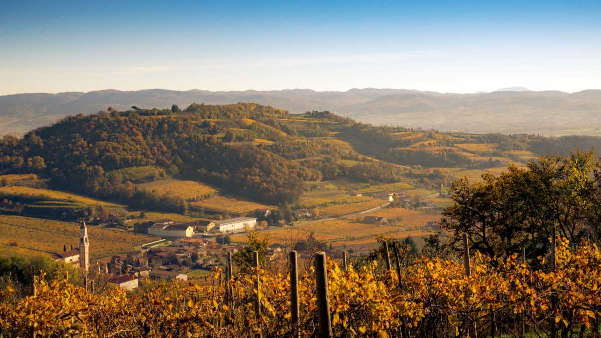 Das Weingut mitten in den Hügeln im DOC-Gebiet Gambellara - Foto zur Illustration der Referenz für Katrin Walter - simply walter