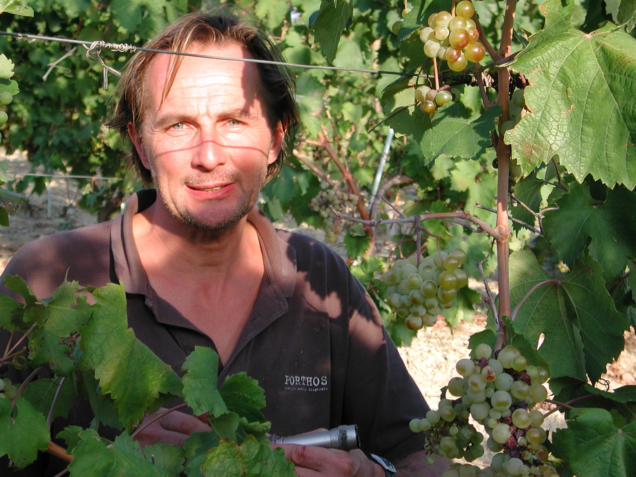 Walter Massa schaut in seinem Timorasso-Weinberg nach dem Rechten und prüft den Zuckergehalt der Beeren. (Foto: Roberto Vaniglia)