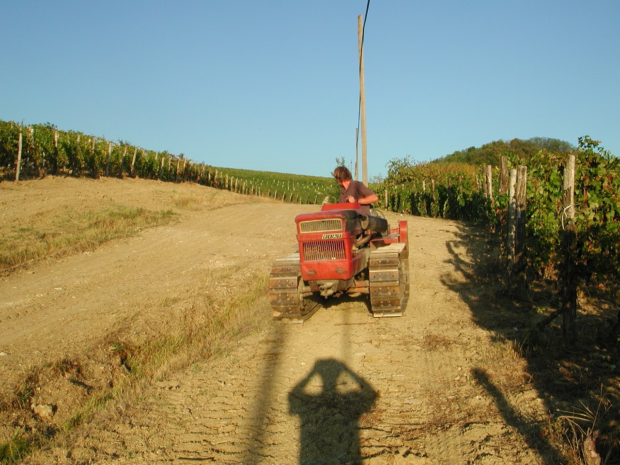 Walter Massa im Timorasso-Weinberg auf seinem Traktor (Foto: Roberto Vaniglia)