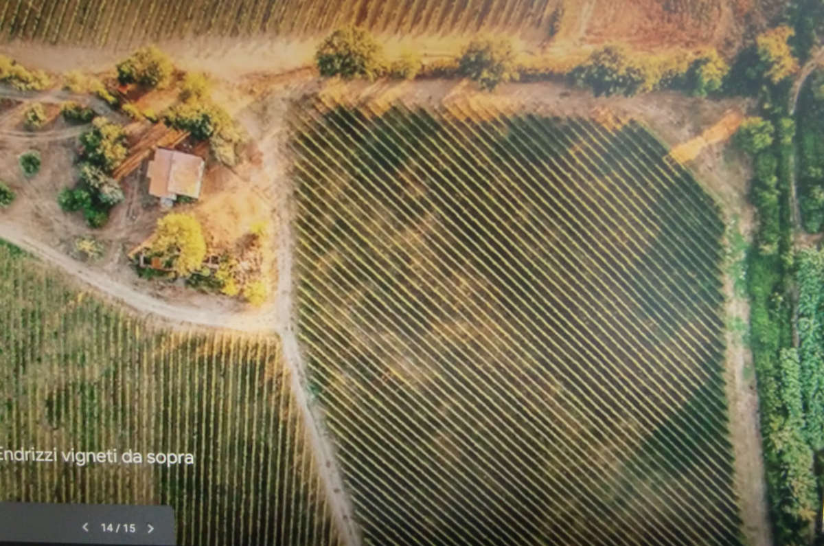 Draufsicht auf das Weingut SERPAIA DI ENDRIZZI, Podere Maremmello in Fonteblanda (Orbetello - Grosseto) Italien