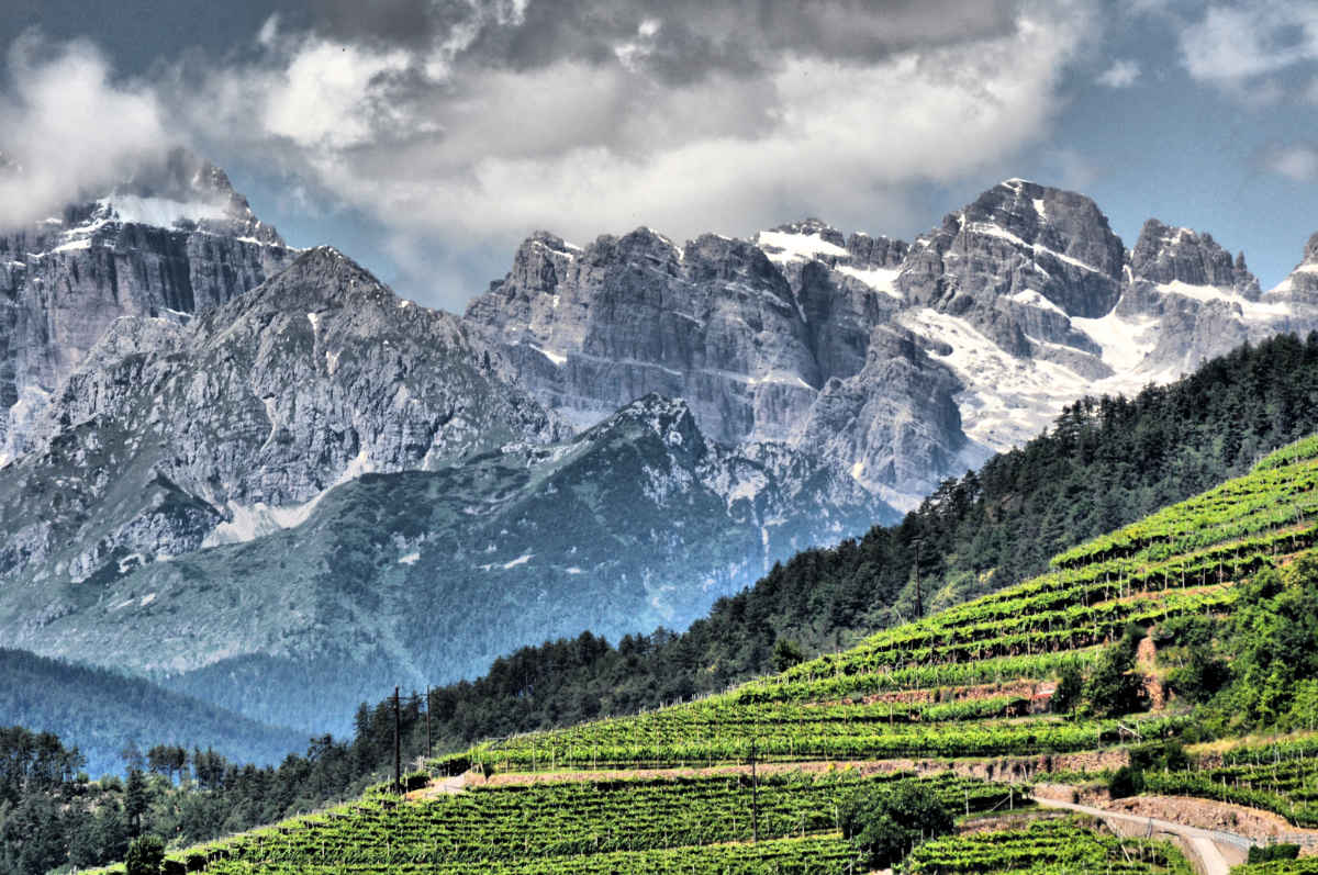 Cembratal mit Rebanlagen und den Bergen im Sommer. Foto: Luciano Lona für simply walter