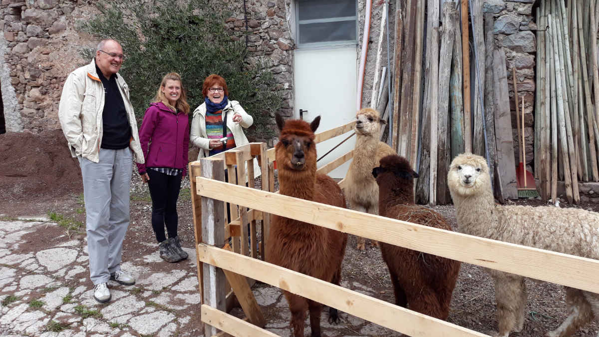 Silpaca, Alpaka-Trekking im Cembratal mit Ilaria Baldo und vier ihrer Alpakas