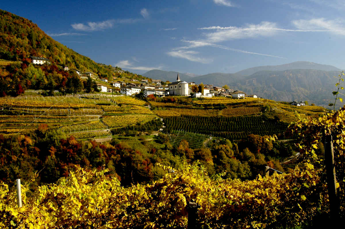 Das Cembratal im Herbst in ein goldenes Kleid gehüllt. Foto: Luciano Lona für simply walter